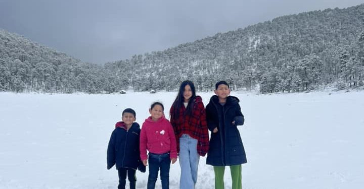 Y la nieve llegó a Tamaulipas, en la sierra de Miquihuana
