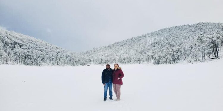 Y la nieve llegó a Tamaulipas, en la sierra de Miquihuana