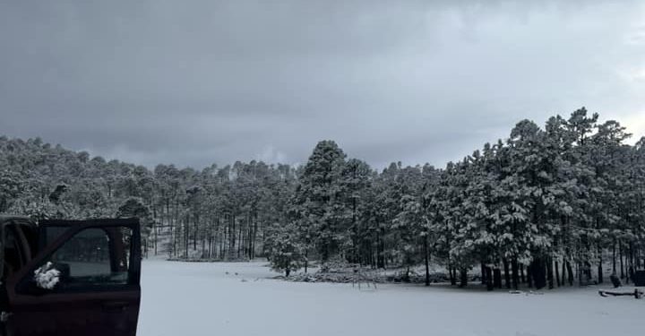 Y la nieve llegó a Tamaulipas, en la sierra de Miquihuana
