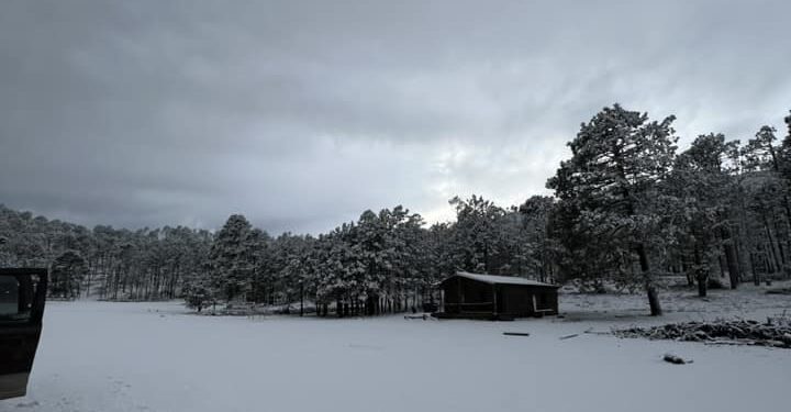 Y la nieve llegó a Tamaulipas, en la sierra de Miquihuana