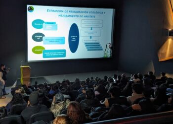 Unen esfuerzos por la conservación del manglar en Tamaulipas