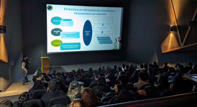 Unen esfuerzos por la conservación del manglar en Tamaulipas