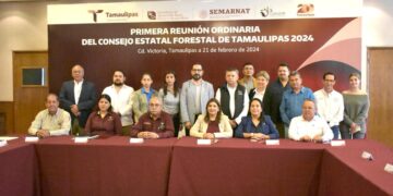 Proponen crear un Anuario Estadístico Forestal de Tamaulipas para afinar políticas públicas