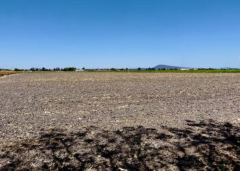 Urge tecnificar el campo en México para afrontar sequías y mayor demanda de alimentos