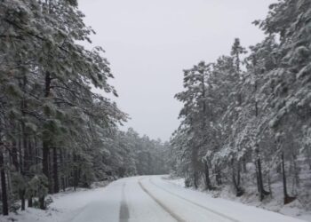Tormenta de nieve provoca cierre de carreteras en Chihuahua
