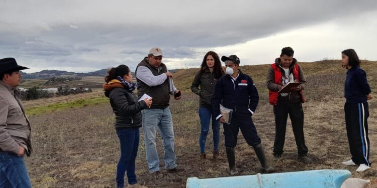 Investiga SADER las causas de muerte repentina de 57 vacas en Hidalgo