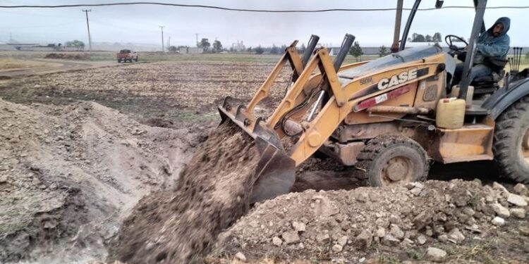 Investiga SADER las causas de muerte repentina de 57 vacas en Hidalgo