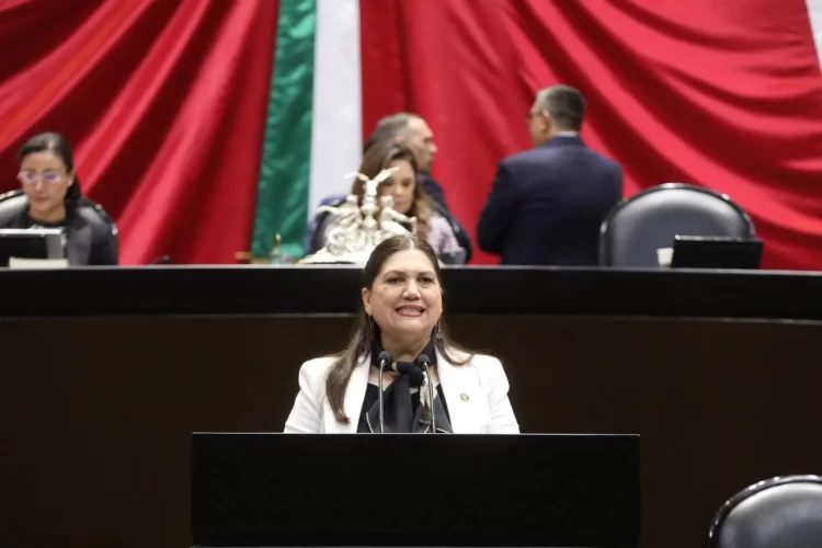 Aprueban diputados inclusión de soya, cártamo, girasol y canola como productos básicos