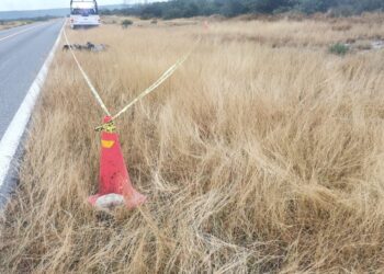 Muere motociclista a salir de carretera en ruta Victoria-Llera