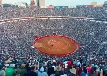 Se reactivan corridas de toros en la Plaza México