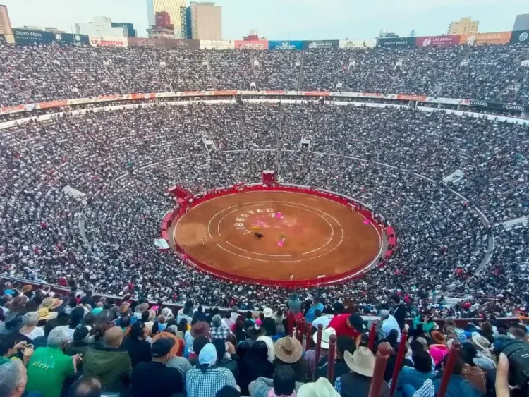 Se reactivan corridas de toros en la Plaza México