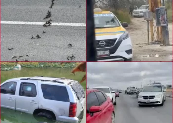 Reportan enfrentamientos a balazos y suspensión de clases en Reynosa