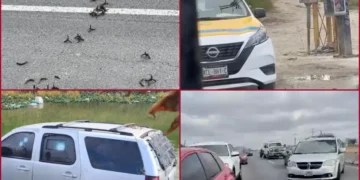 Reportan enfrentamientos a balazos y suspensión de clases en Reynosa