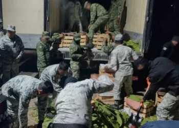 Guardia Nacional asegura 600 paquetes de narcóticos dentro de un camión de nopales