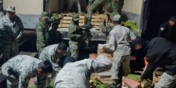Guardia Nacional asegura 600 paquetes de narcóticos dentro de un camión de nopales