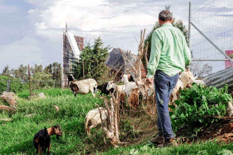 Reforzarán competitividad de micro, pequeñas y medianas empresas agroalimentarias