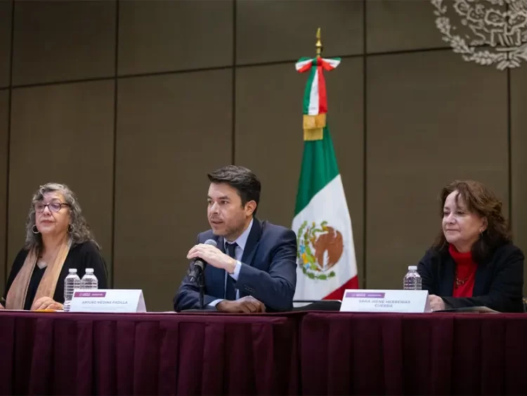 Comisión Nacional de Búsqueda está en proceso de reorganización: Segob