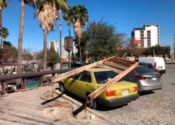 Vientos de hasta 90 kilómetros por hora dejan ‘caos’ en Nuevo León