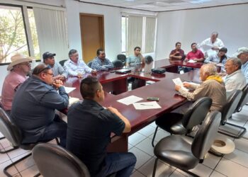 Analizan problemática del sector apícola en el centro de Tamaulipas