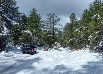 Nevadas de 8 pulgadas de espesor en Madera al noroeste de Chihuahua