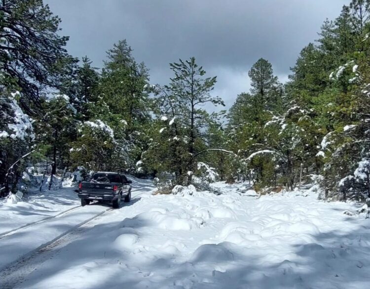 Nevadas de 8 pulgadas de espesor en Madera al noroeste de Chihuahua
