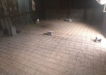 Construye SEBIEN mil 127 pisos de concreto en viviendas de 13 municipios de Tamaulipas