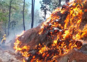 Guatemala solicita ayuda internacional para combatir incendios forestales