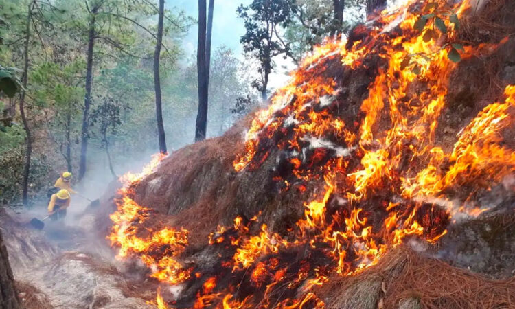Guatemala solicita ayuda internacional para combatir incendios forestales