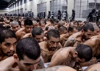 Corte de El Salvador realiza histórica audiencia virtual contra 492 líderes de la MS13 por más de 37 mil delitos