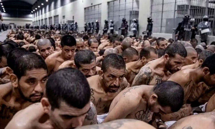 Corte de El Salvador realiza histórica audiencia virtual contra 492 líderes de la MS13 por más de 37 mil delitos