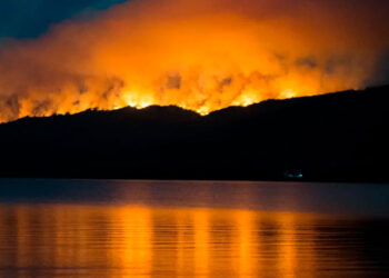 Incendios forestales azotan parques nacionales en la Patagonia argentina