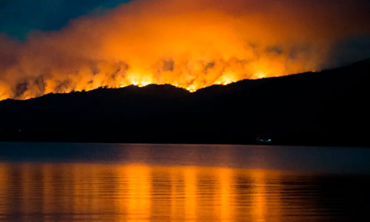 Incendios forestales azotan parques nacionales en la Patagonia argentina