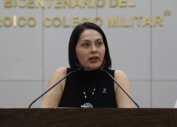Plantea Diputada de Morena reforma para garantizar acceso a información pública