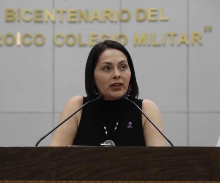 Plantea Diputada de Morena reforma para garantizar acceso a información pública