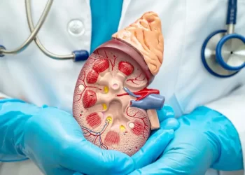 En el Día Mundial del Riñón resaltan importancia de detectar enfermedades renales a tiempo