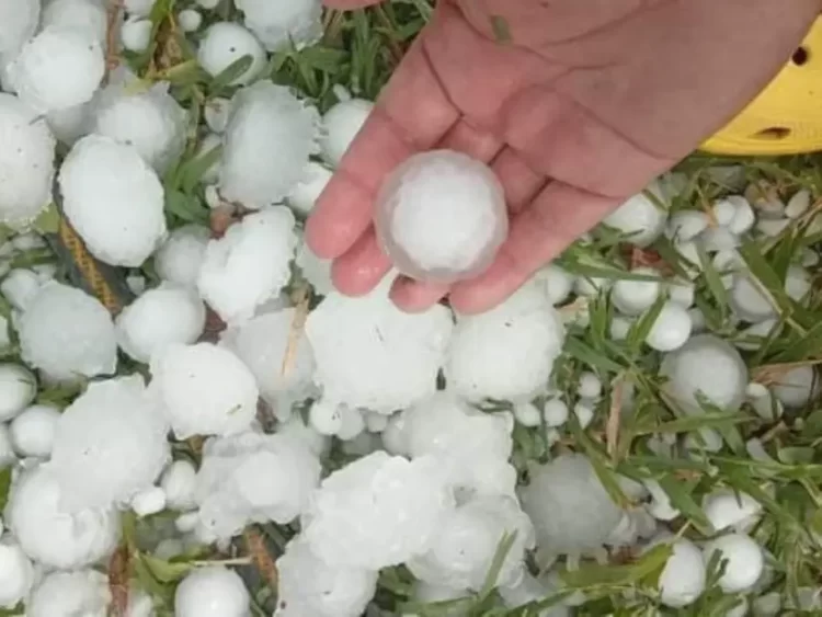 Enormes bolas de granizo provocan graves daños en Coahuila