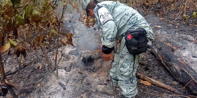 Controlan incendio forestal en Hidalgo