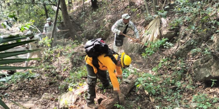 Controlan incendio forestal en Hidalgo