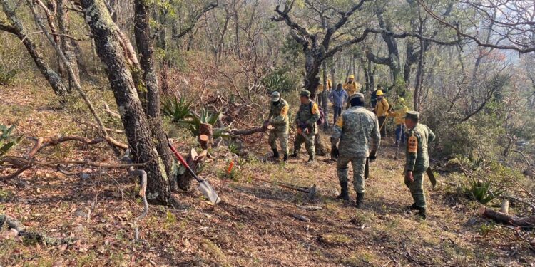 Apoya SEDENA en combate a incendio forestal
