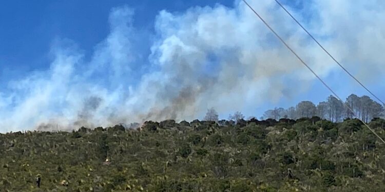 Apoya SEDENA en combate a incendio forestal
