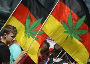 Alemania aprueba legalizar la mariguana “parcialmente”