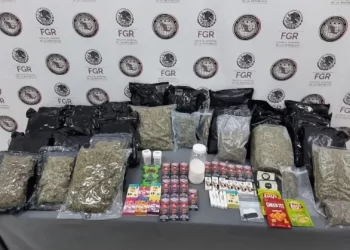 FGR asegura gomitas y papitas hechas con mariguana en Nuevo León