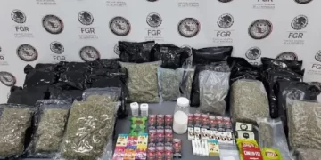 FGR asegura gomitas y papitas hechas con mariguana en Nuevo León