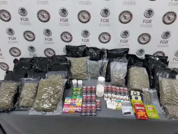 FGR asegura gomitas y papitas hechas con mariguana en Nuevo León