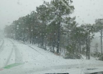 Reportan nevadas en diez municipios de la sierra de Chihuahua en plena primavera