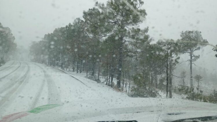 Reportan nevadas en diez municipios de la sierra de Chihuahua en plena primavera