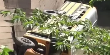 Autobús pierde el control y cae de puente; hay 45 muertos