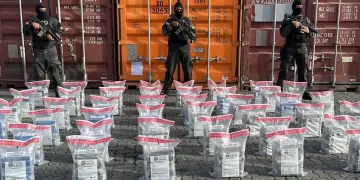 Decomisan 8.3 toneladas de cocaína en Las Antillas Francesas