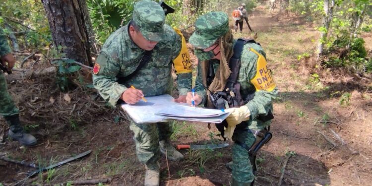 Controlan incendio forestal en Hidalgo