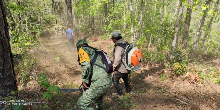 Controlan incendio forestal en Hidalgo